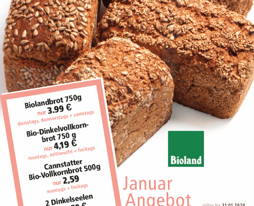 Unsere Angebote im Januar